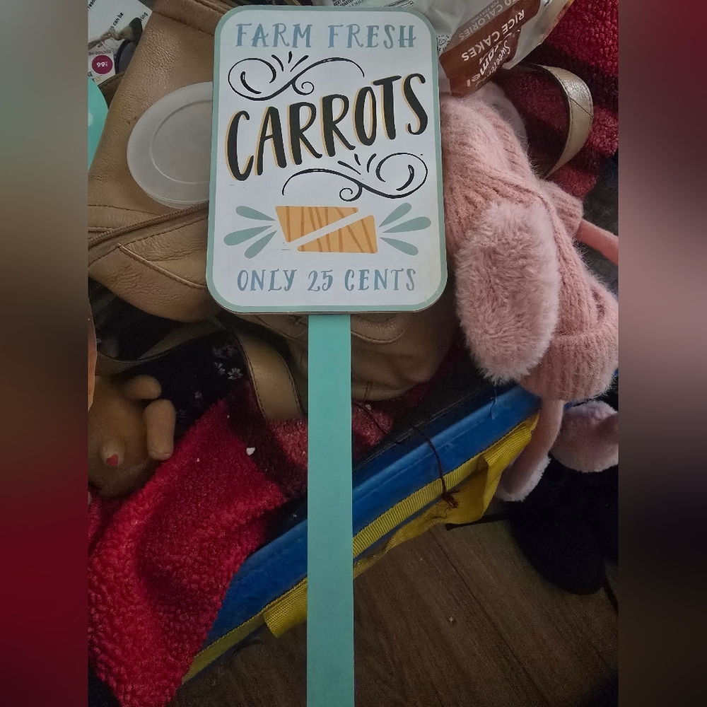 Decorative Carrots Sign with Pink Plush Slippers